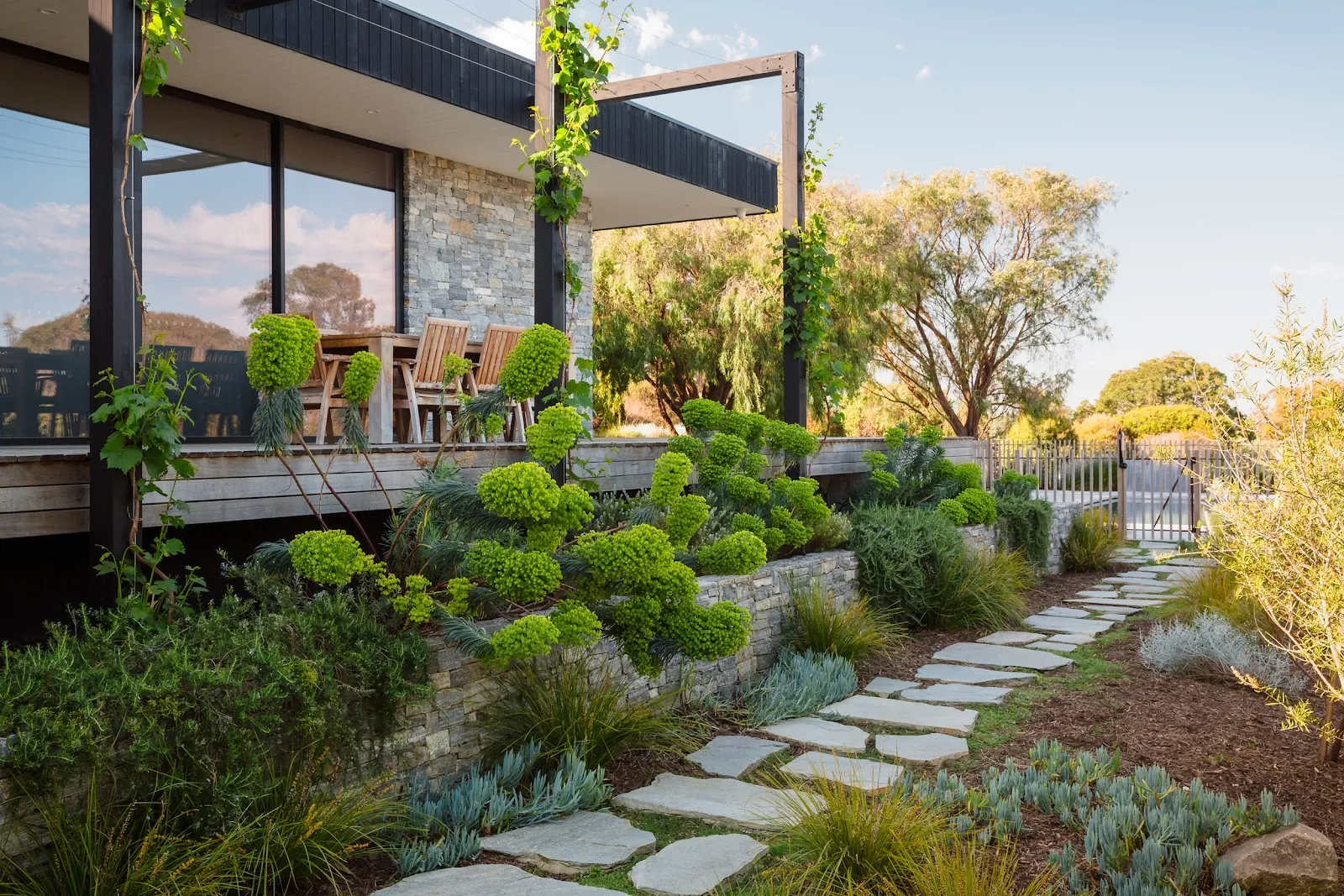 Lawns we've transformed 3